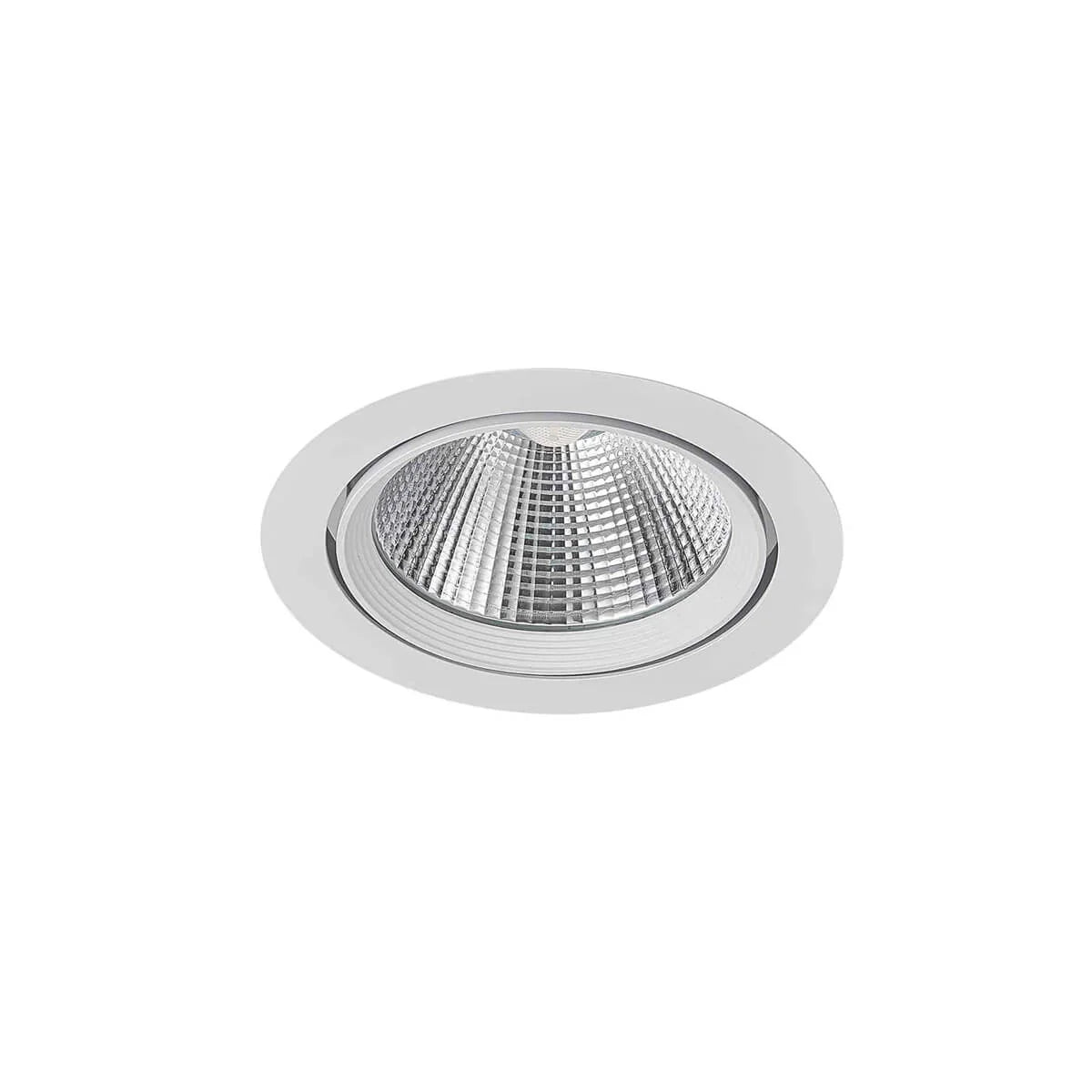 ליצ'י-115-01-אור טבעי - אור שי סיטונאות חשמל בע״מ