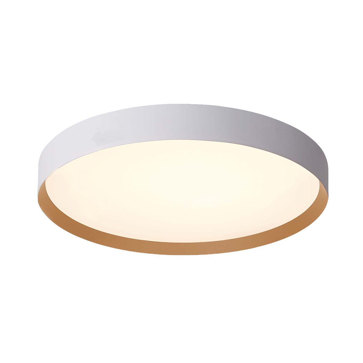 דורין 80 CCT-80-01-G-80W-CCT
