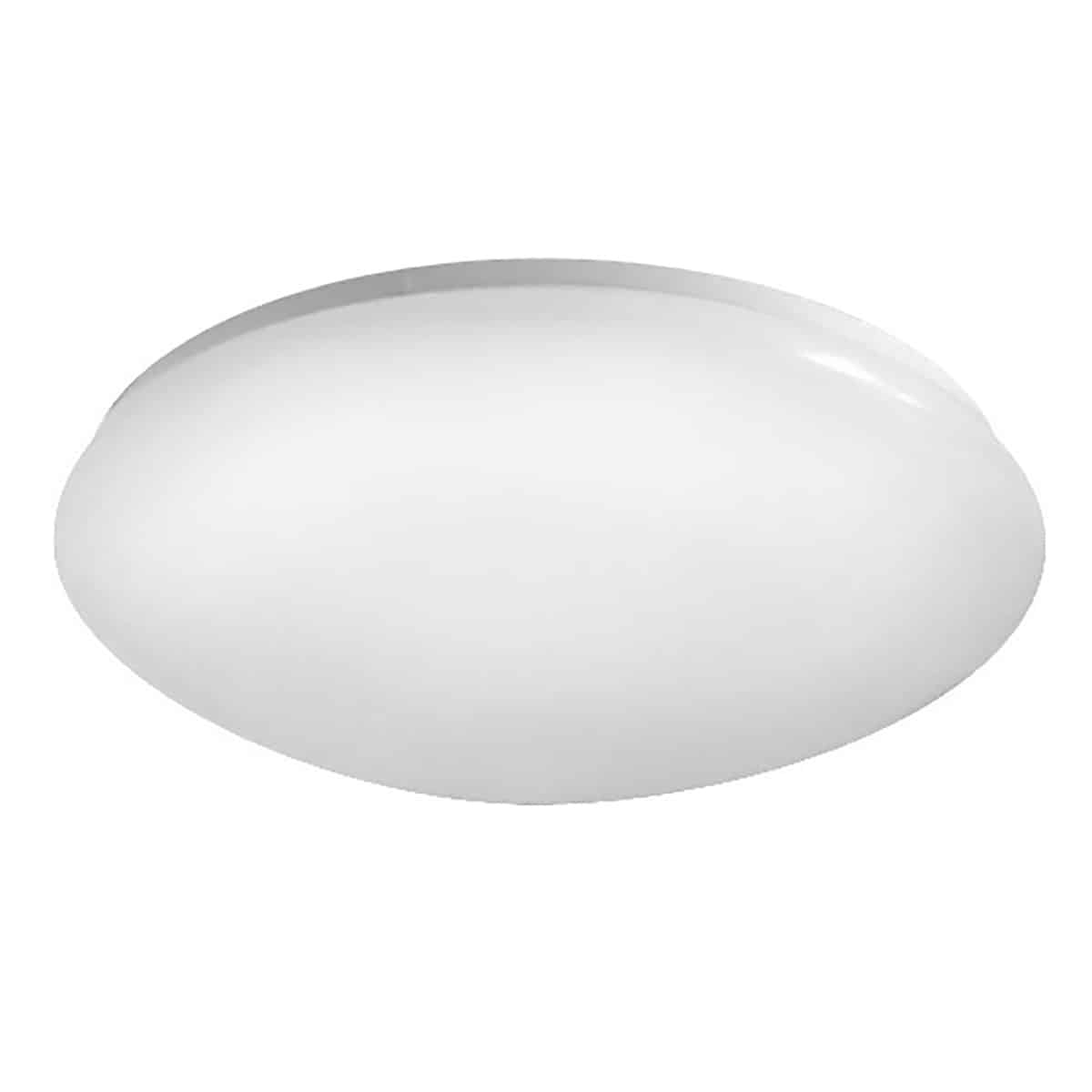 מוני צ'מפיון-110-אור קר-36W-45