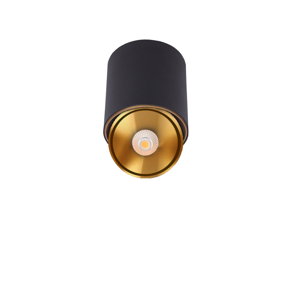 צילנדר מתכוונן סאן-105-00-GD-10W-אור טבעי