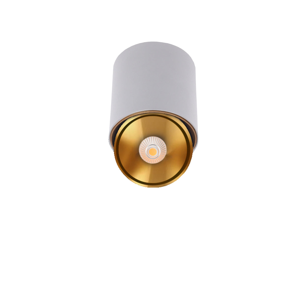 צילנדר מתכוונן סאן-105-01-GD-10W-אור חם