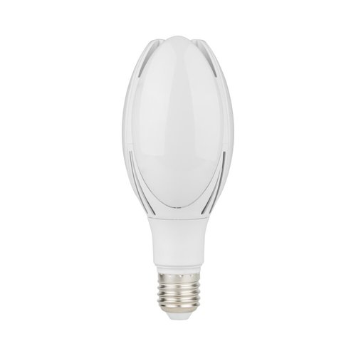 נורת מגנוליה לבנה E27 30W אור קר